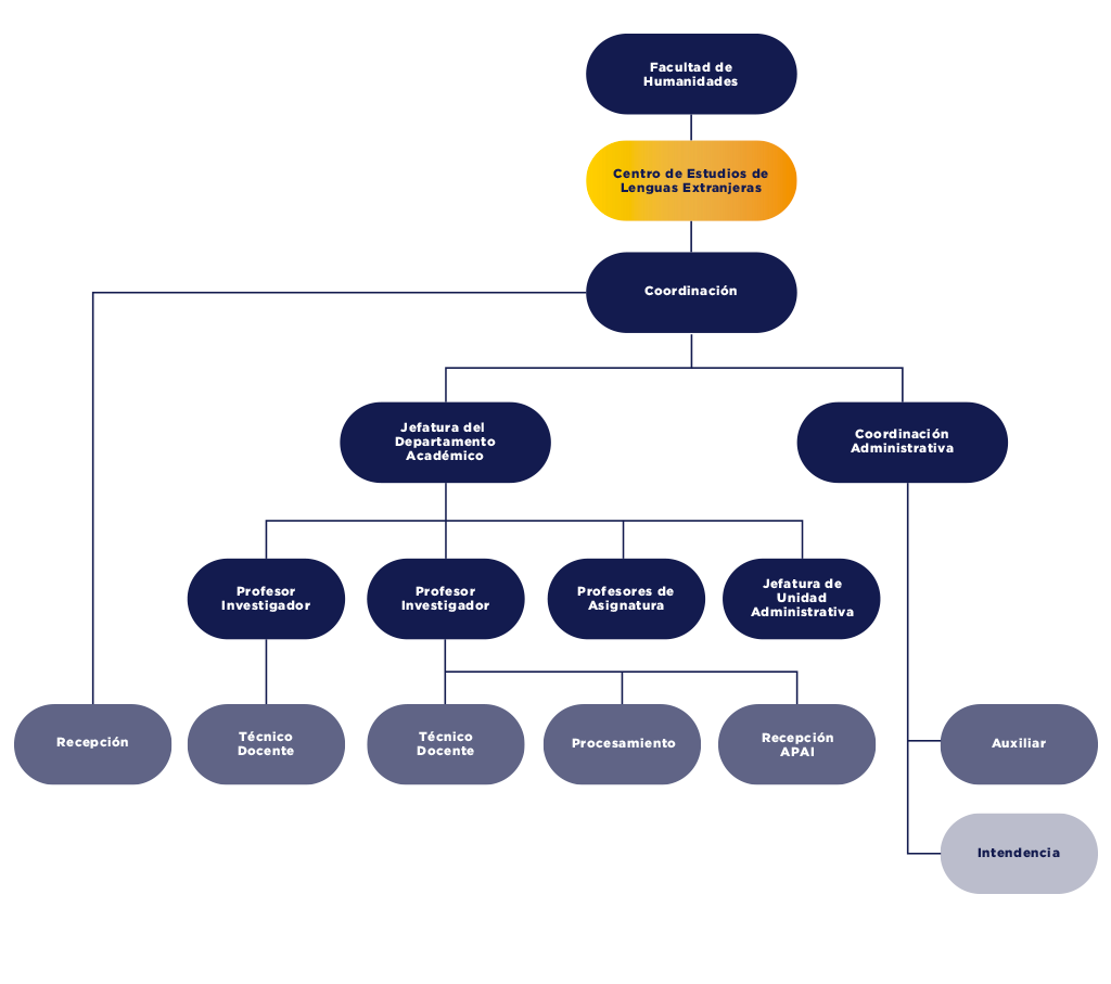 organigrama_CELE_2026